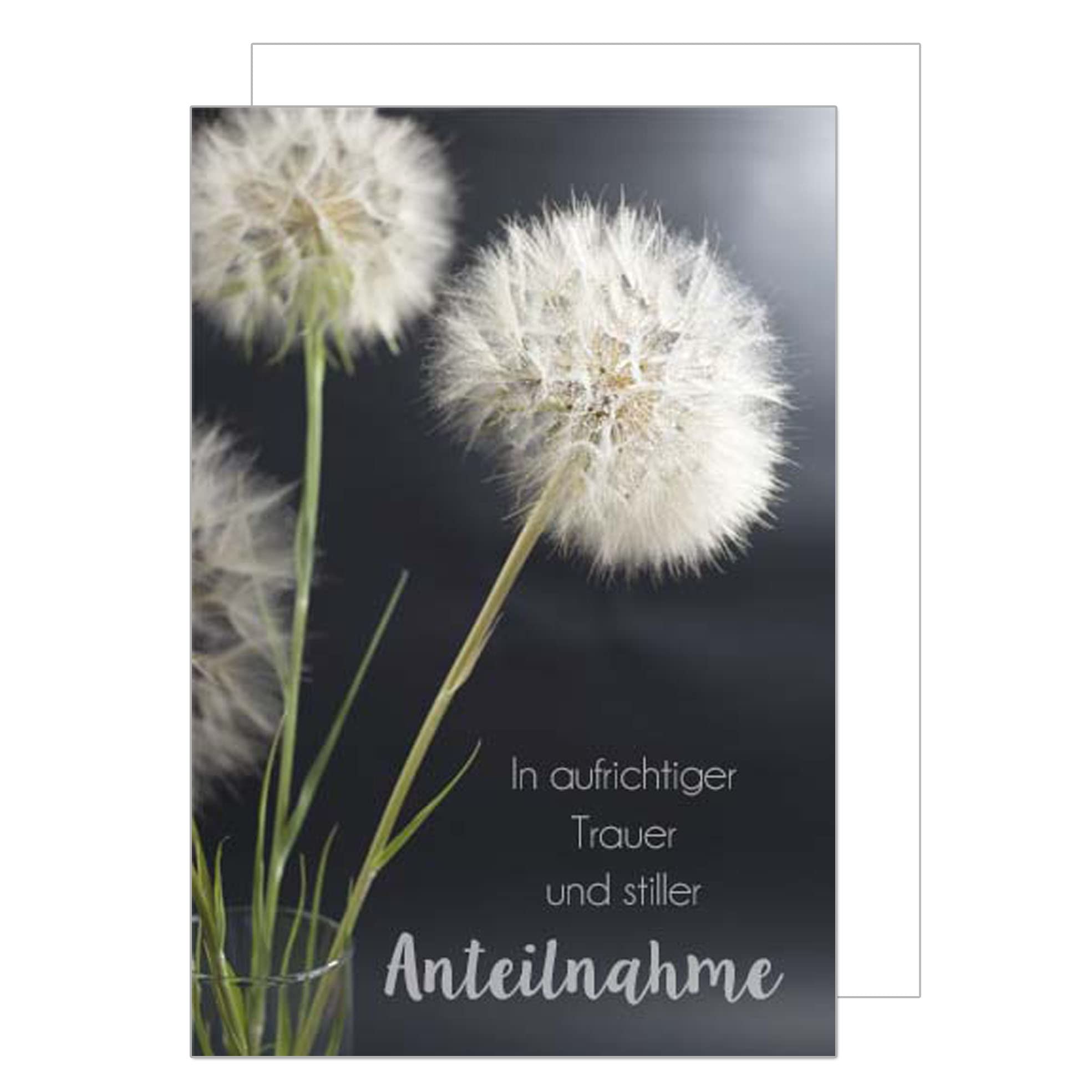 Edition Seidel Carte De Condoléances De Qualité Supérieure Avec Enveloppe. Carte De Condoléances Pour Enterrement De Vie De Pissenlit - Aquarelle - Incontournable (T1061 SW022