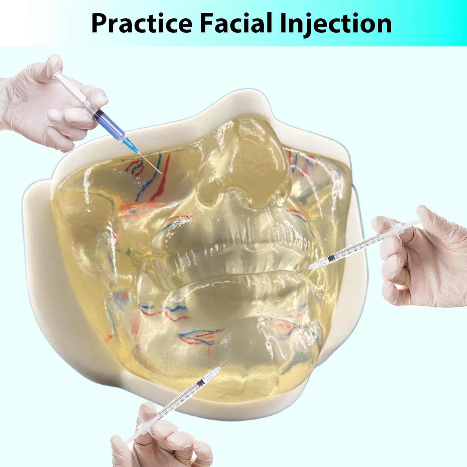 Lower Face Injection Training Model with Simulated Blood Vessels – Transparent TPE Vascular Face Practice Model for Medical Students, Esthetic Training, Microplasty & Injection Techniques