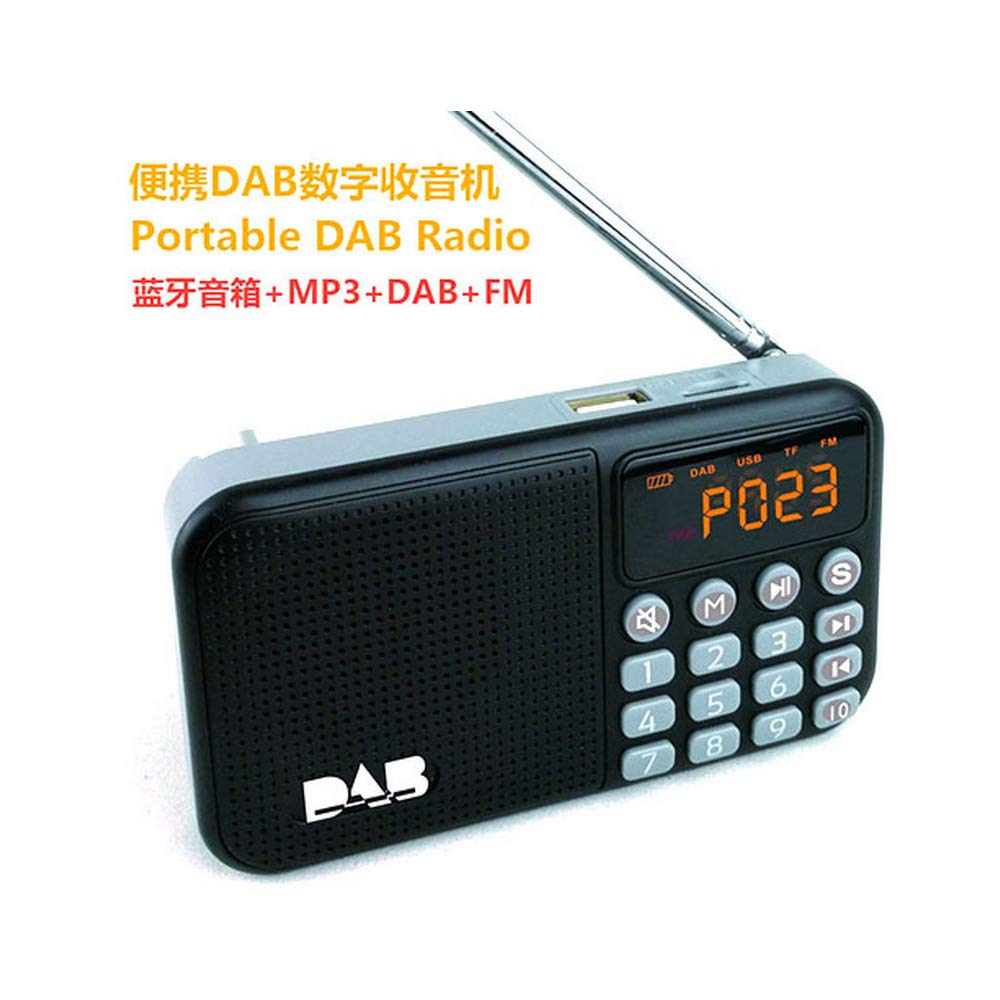 Draagbare Digitale FM DAB/DAB Radio met Bluetooth en MP3 Speler