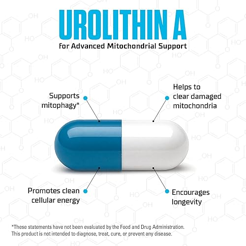 Miniatura 2 de MITOHACK - Suplementos de urolitina A y espermidina diseñados con fórmula mitocondrial avanzada para apoyar el antienvejecimiento y la longevidad,
