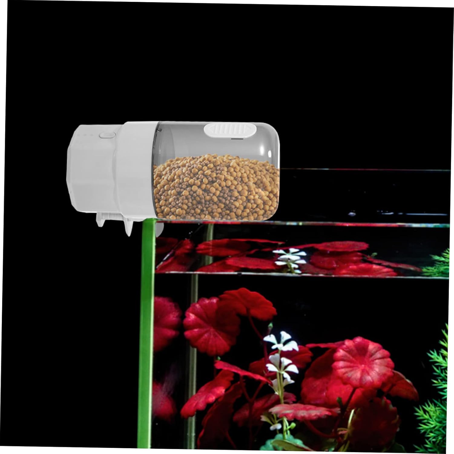 Kisangel Automatic Fish Feeder Intelligent Timing Dispenser for and Spacious Food Box for Vacation Use Transparent Design for Easy Monitoring for Small Aquariums
