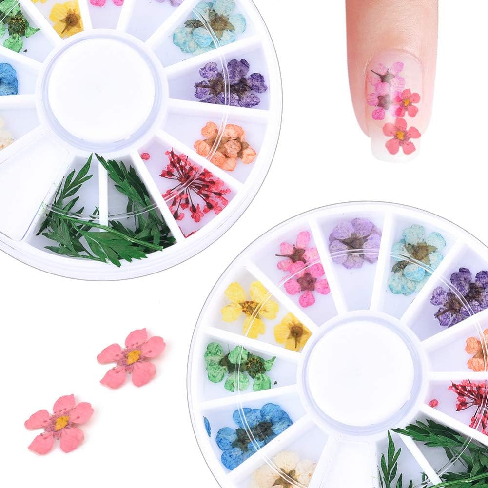 N-A Nuevo 24PCS / Wheel Nail Art Decoración Flor Seca Manicura 3D Polaco Verano Hoja Floral Real preservada Consejos de floración Seca Mixta