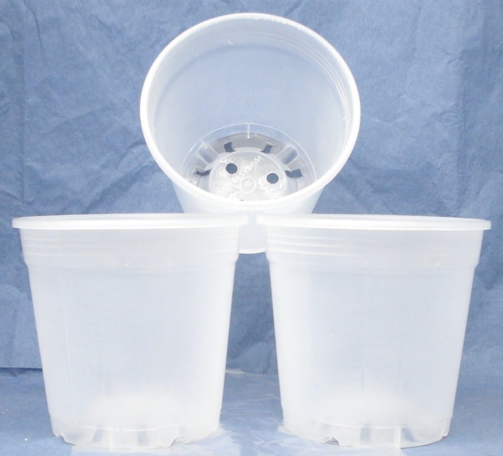 Plastic Teku Pot for Orchids 6 inch Diameter - Quantity 3 pack of 2, Quantity 03 pack of 2