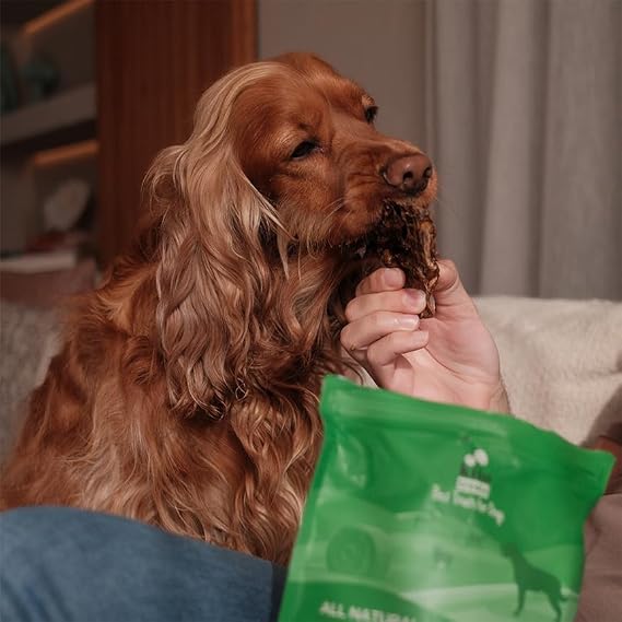 Kito Beef Lung Cube Snack Dog Reward Food 100% Natural, Gluten Free, Organic 100g (Dog Treat)
