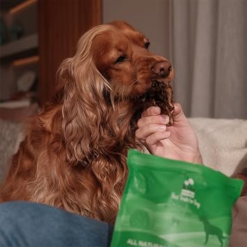 Kito Beef Lung Cube Snack Dog Reward Food 100% Natural, Gluten Free, Organic 100g (Dog Treat)