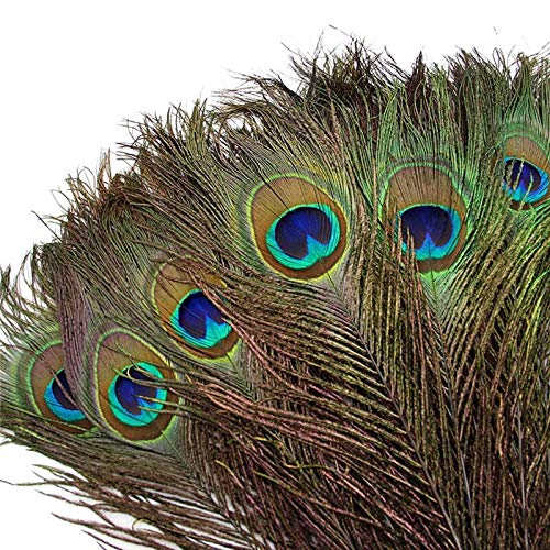 Paon naturel plumes de 25-32 cm pour accessoire de déguisement et corsage