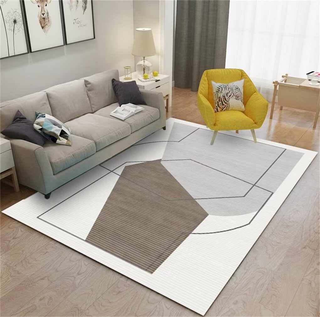 Tapis pas cher gris lavable en machine grand format 200x300 pour grand salon