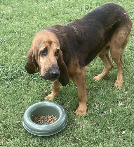 The Mote - Ant Proof Dog Bowl, Innovative Waterless System, Durable & Maintenance-Free, Simple Design Effectively Keeps Ants Out, for Dogs, Cats, and More - Image 4