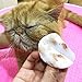 Tear Stain Remove Pads for White Dogs and Cats Pet Soft Grooming Wipes 100 Pads