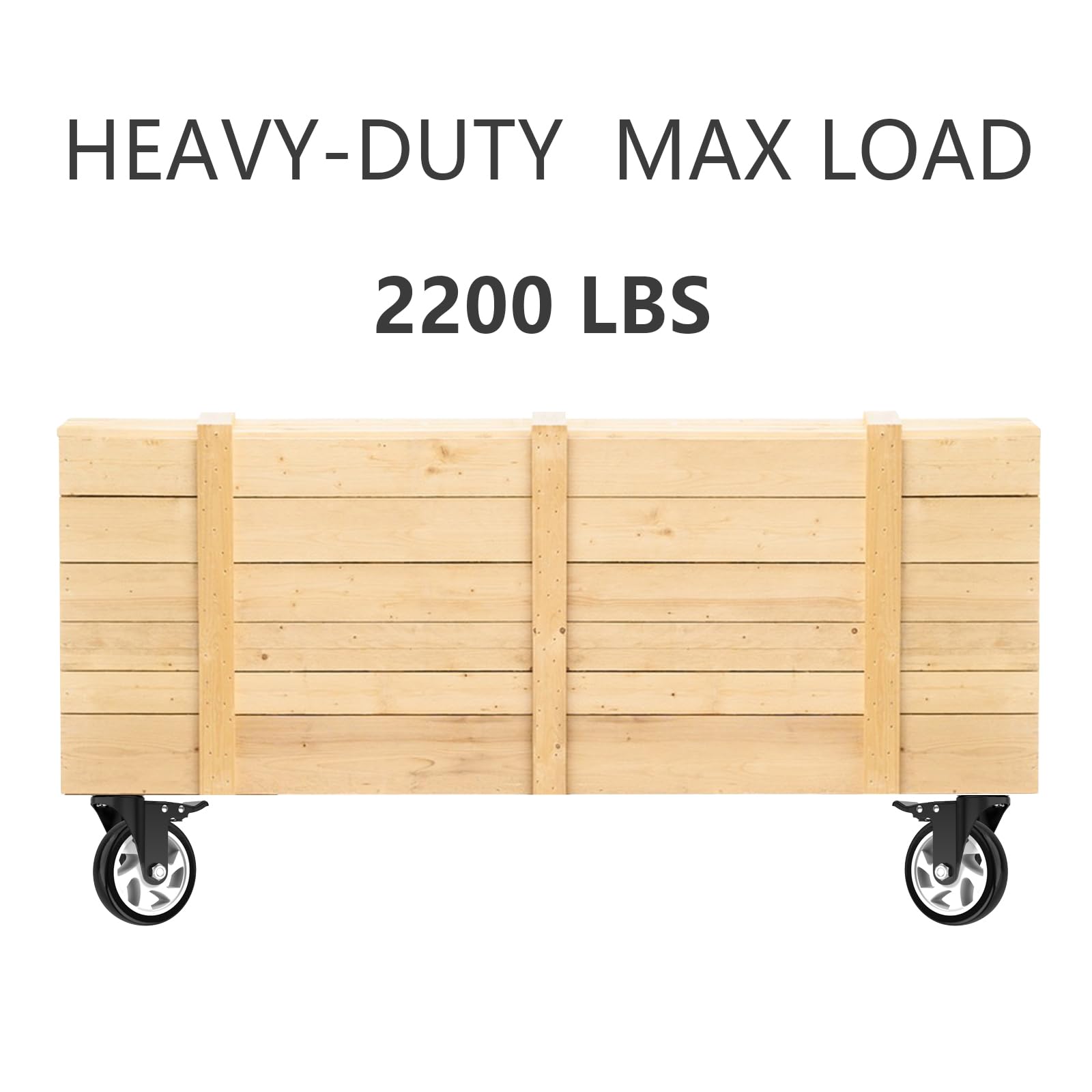 https://m.media-amazon.com/images/I/61B3gaZ+T8L.jpg