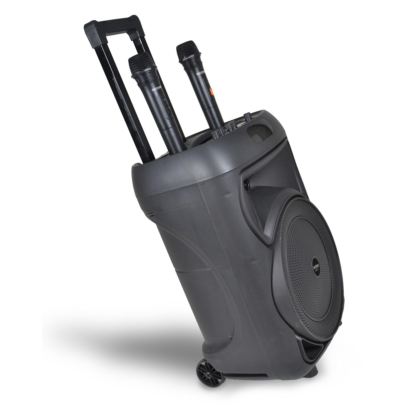 Bontempi | Cassa Trolley Acustica Wireless con 2 Microfoni Senza Filo, Luci RGB, Telecomando, Display, Funzione TWS, 48x29x24 cm