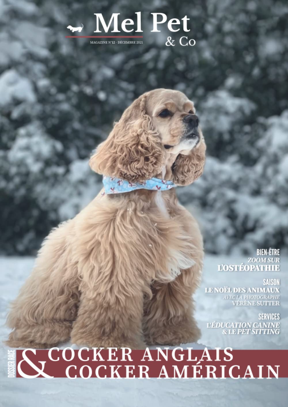 Mel Pet & Co - Le Mag Canin #12 : Cocker Anglais & Cocker Américain