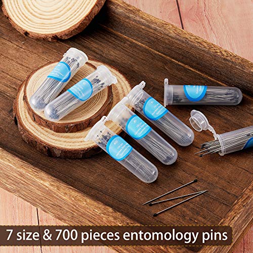 Image of WILLBOND 600 Pieces Stainless Steel Insect Pins Kit Specimen,3 Sizes | Entomology Pins for Butterfly Collections Insect Display Variety Pack for School Specimen Preparation Pin Collector