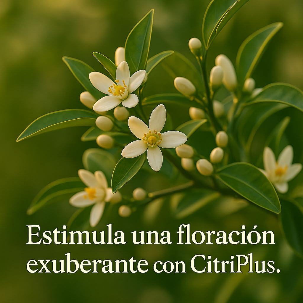 Fertibono CitriPlus: Abono Cítricos, (5L), Rico en Hierro, Zinc, Calcio,Manganeso, Magnesio, AminoAcidos y NPK - Abono Plantas, Ecológico, Residuo Cero