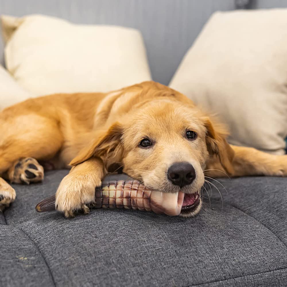 Langlebiger Hundekauenspielzeug Für Aggressive Kauen Ungiftiger Gummi -Haustierspielzeug Für Kleine Mittelgroße Hunde Kinderkrank