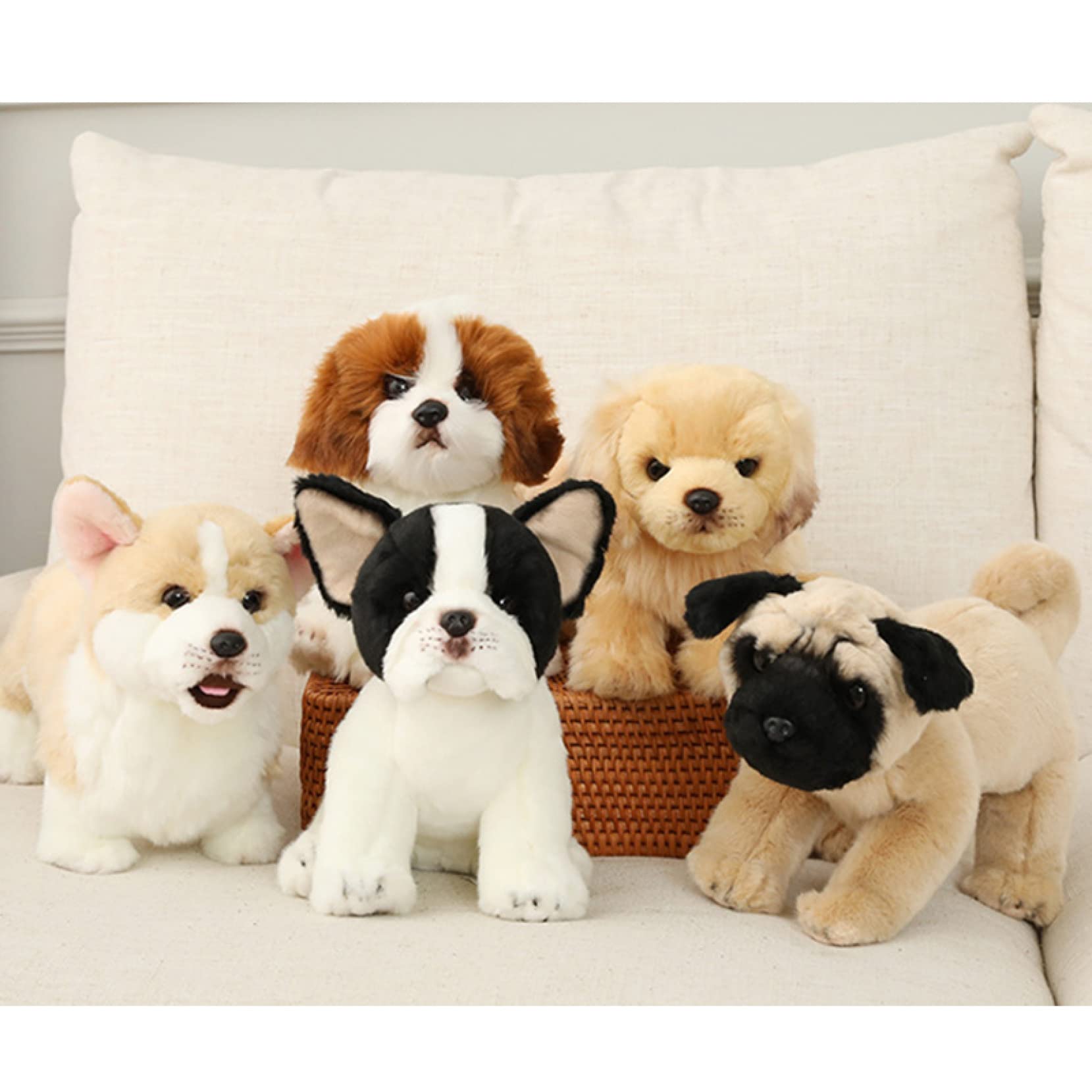 Amazon.co.jp: M．ASSOLATO 特大ぬいぐるみ ボーダーコリー 