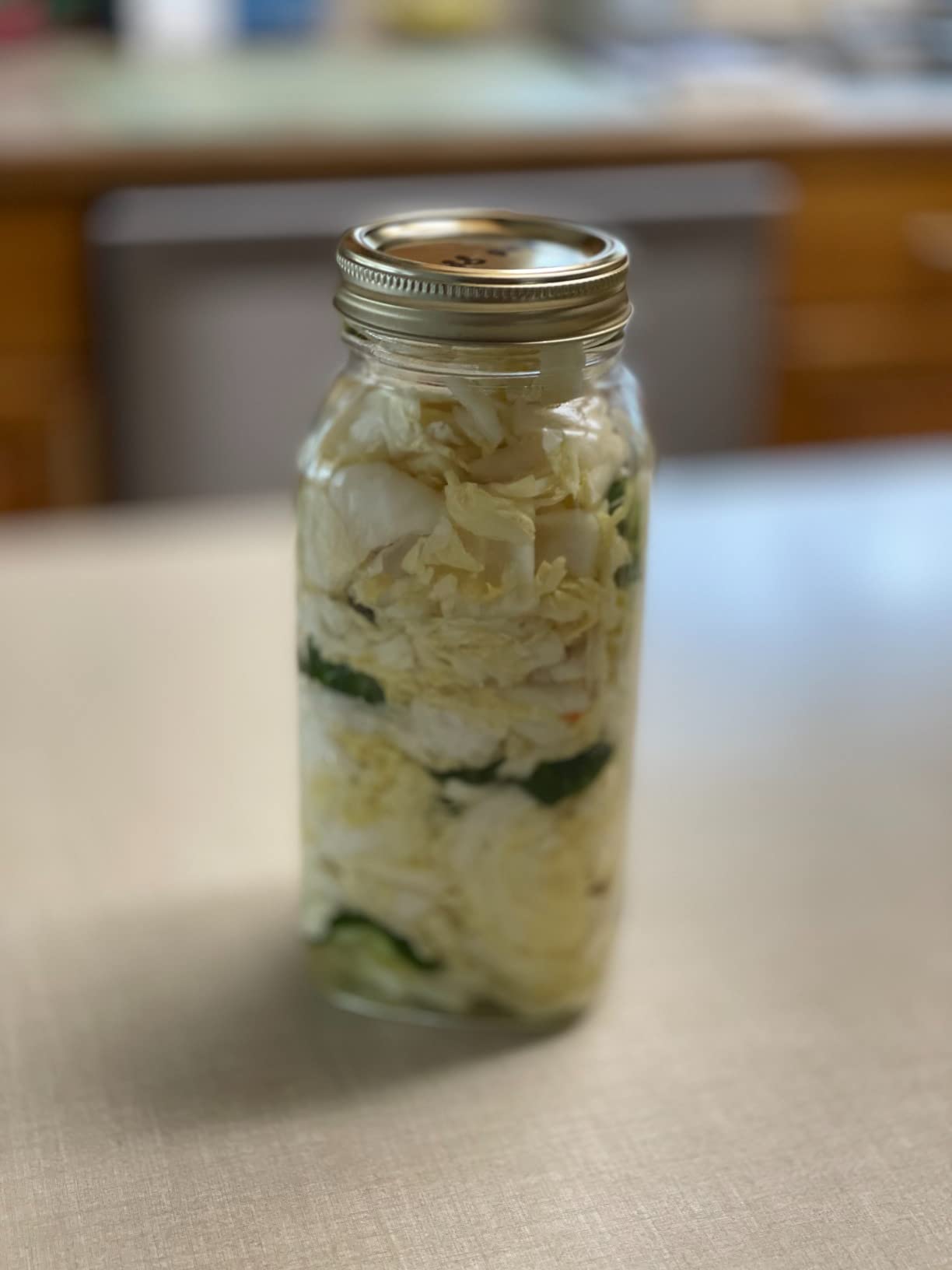 Japanese Pickle Maker, Tsukemono Maker, BPA Free, Made in Japan Amazon.ca Home