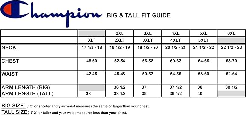 Miniatura 7 de Champion Sudaderas con capucha para hombres grandes y altos Sudadera con capucha bordada