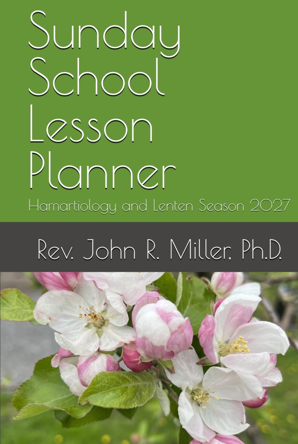 Sunday School Lesson Planner: Hamartiology and Lenten Season 2027