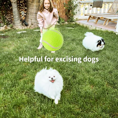 Orifesio 2 Inch Tennis Balls for Dogs Mini Tennis Ball for Pet Playing Fecth Dog Playing Ball for Small Size Dogs Interactive Dog Toy Balls Fits for 2 Inch Pet Launcher Machine - Image 4