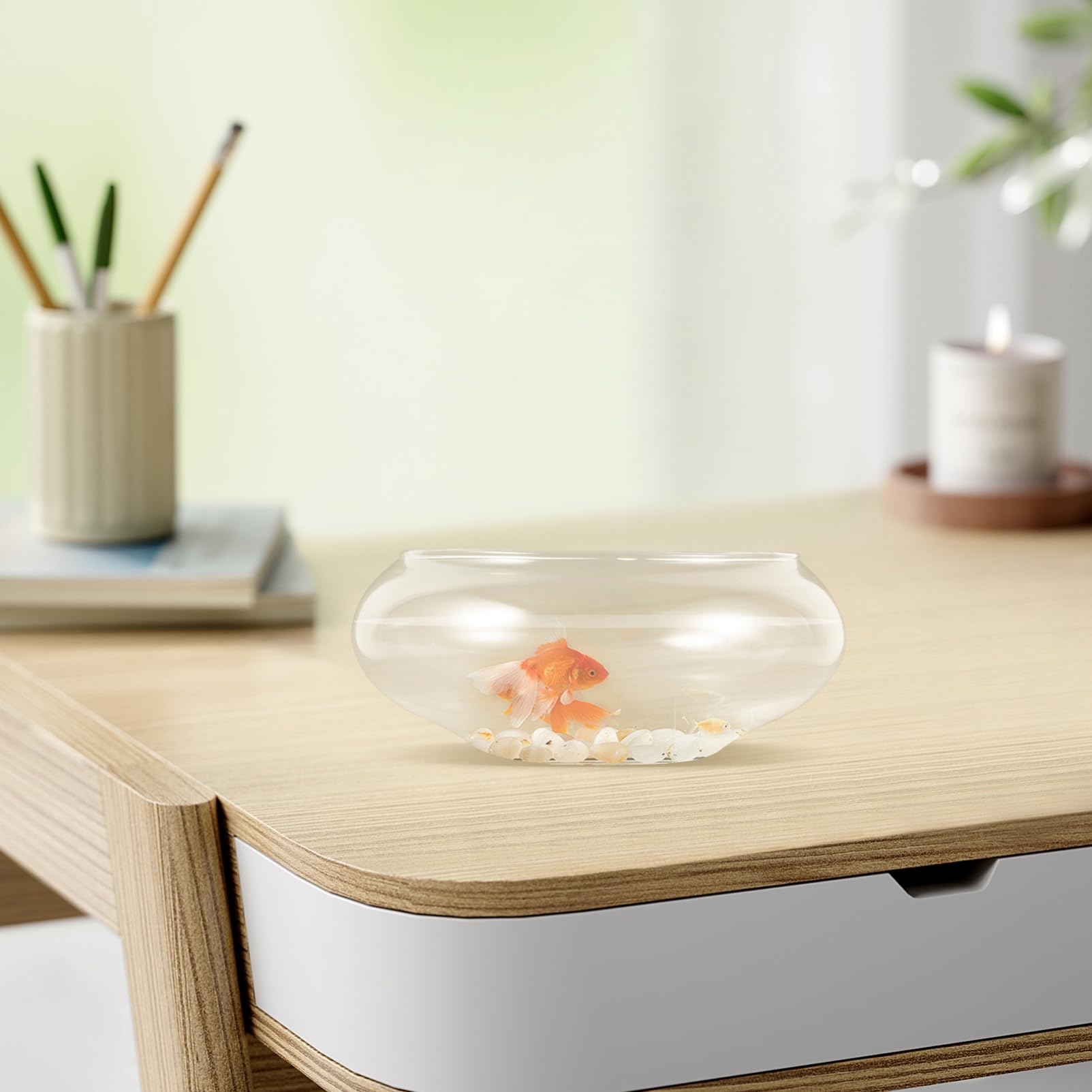 Veemoon Vase Transparent pour Plantes Aquarium Rond pour Décoration Intérieure Terrarium Et De Table Bocal à Et Plantes Hydroponiques