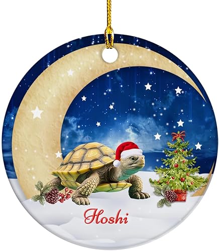 Regalos para amantes de las mascotas, adorno de Navidad personalizado, con tema de luna creciente y cielo, linda tortuga, regalos para niños y niñas