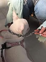 Vista 4 de Loveshine Collar de cadena para perro, collar de cadena de metal de acero inoxidable resistente para perros medianos (0.59 pulgadas, 22 pulgadas)