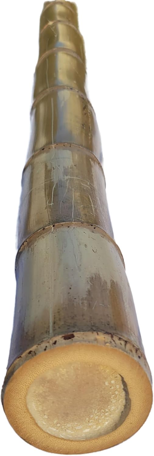 Natural Bamboo Poles, 4.5" - 5" Diameter Large and Extra-Large Poles, Bamboo for Indoor and Outdoor, 3ft, 4ft, 5ft, 6ft, 7ft, 8ft Lengths, Cured, Structural and Décor (6 ft)