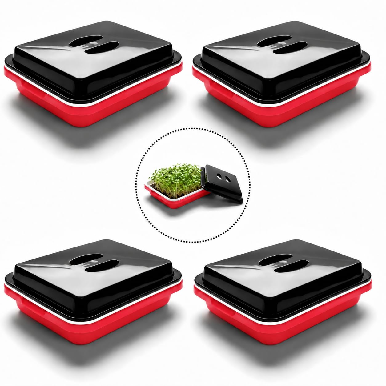 Seed Sprouter Tray Black Lid Faster Germination (4, Red)-image-37