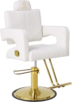 Reclining Salon Chair,Hairdresser Chair with Hydraulic Pump,Comfortable Styling Chair with Removable Headrest,440 LBS Capacity,Height Adjustable Barber Chair for Hair Stylist,Barbershop,Spa