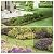 Decorative Garden Fence 5 Panels + 1 Gate, 30in (H) x 11.8ft (L), Rustproof Metal No Dig Fence Animal Barrier for Dog, Flower Edging for Yard & Patio Outdoor Landscape, Arched (6 Packs)