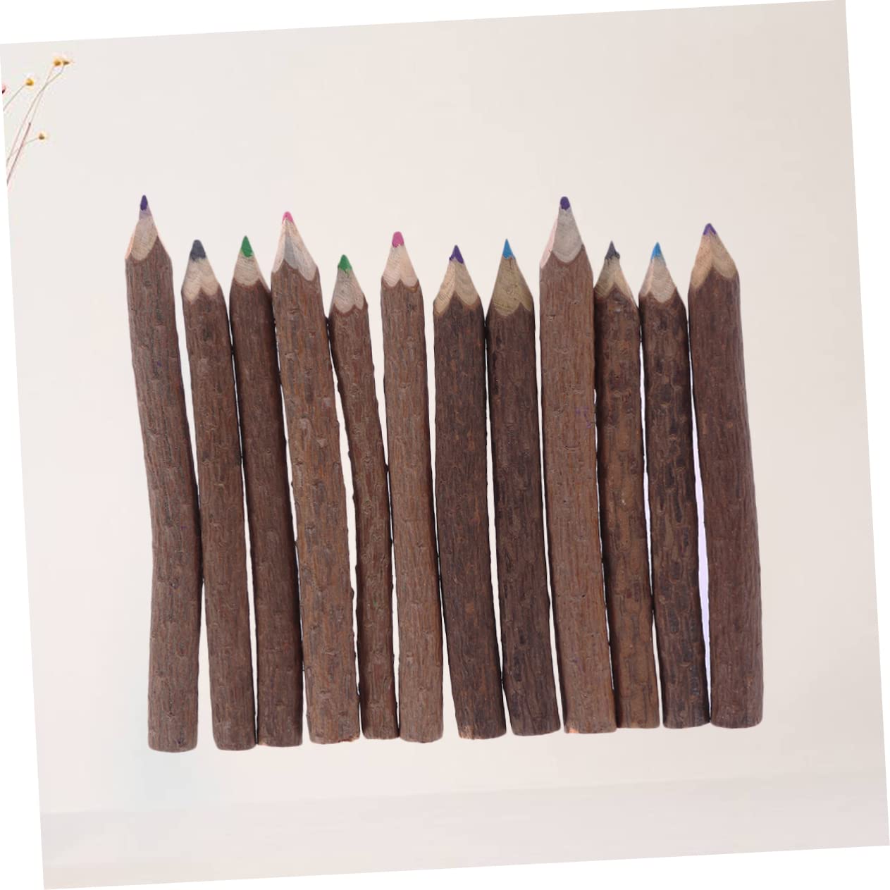 LALAFINA 24pezzi Matite Colorate Di Ramo Per Disegno Artistico Matite Di Bark Per Creatività e Attività All Aperto Per Insegnanti