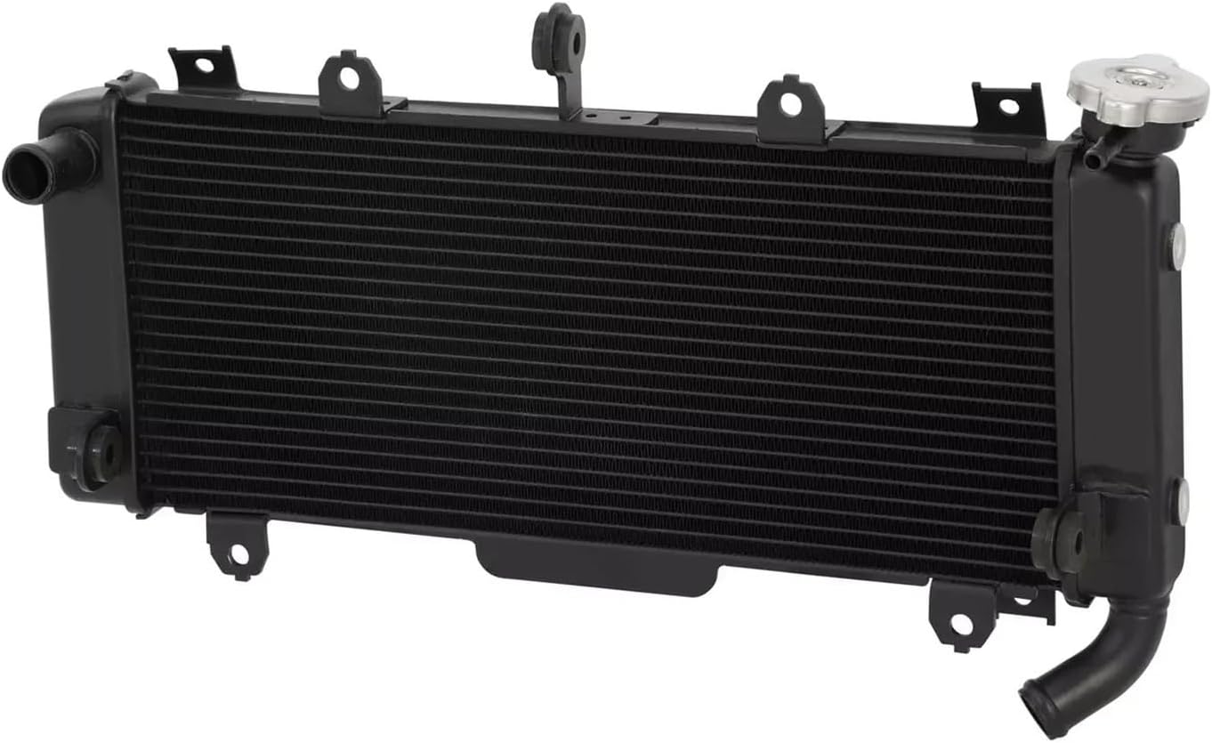 水墨画裸女張志中画中国絵画女裸白黒大きい