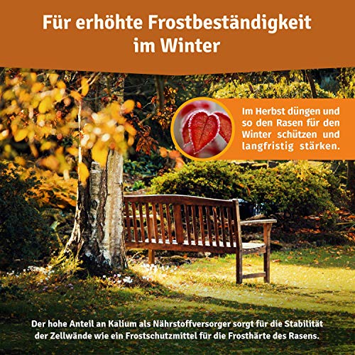 Foto von Veddelholzer Bio NPK 7+3+12 Herbstrasendünger mit Langzeit-Wirkung nachhaltiger organischer Rasendünger zur Überwinterung für frostbeständigen Rasen verdrängt Moos & Unkraut 10,5 kg für 250 m²