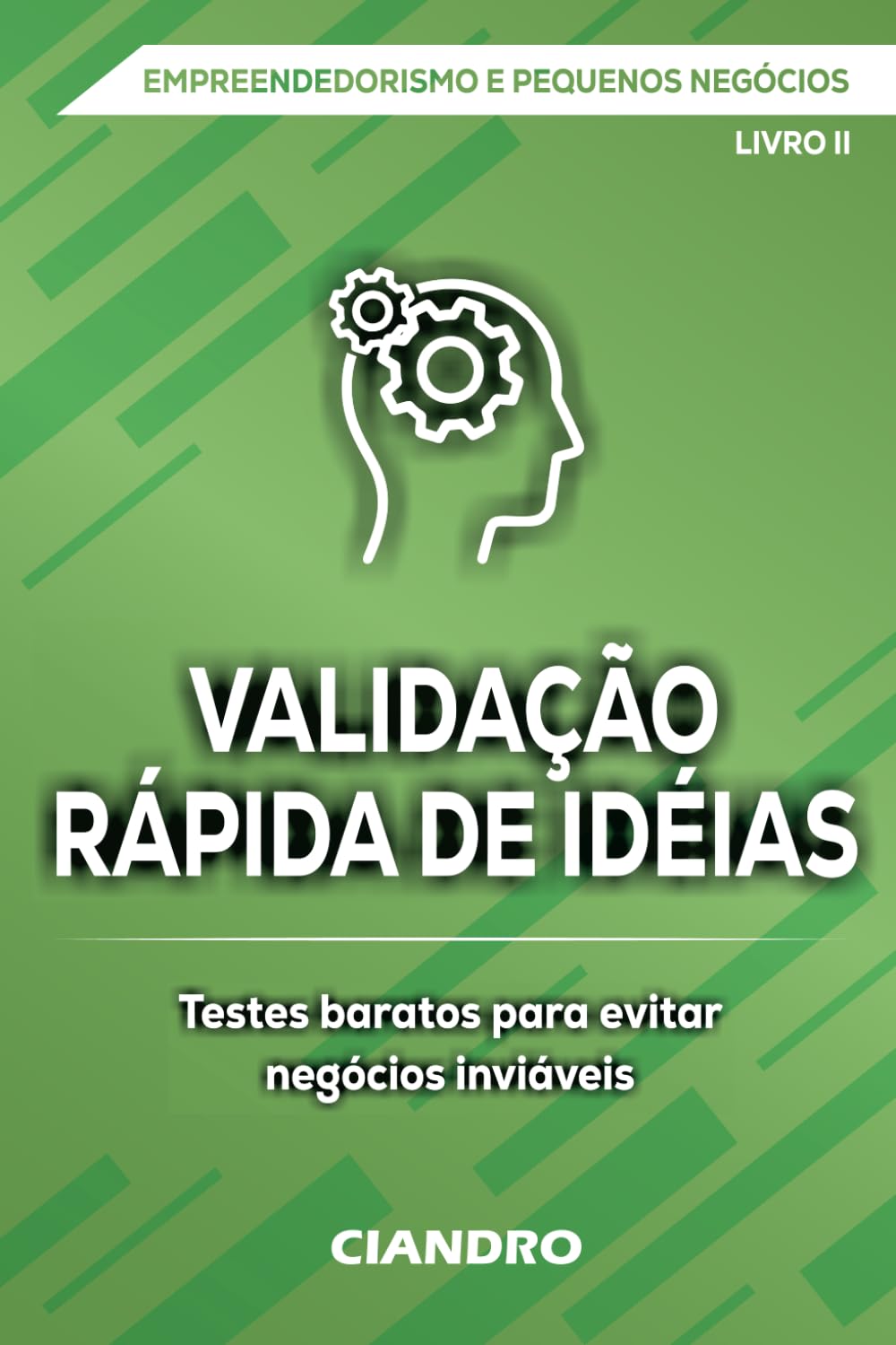 VALIDAÇÃO RÁPIDA DE IDÉIAS: Testes baratos para evitar negócios inviáveis (EMPREENDEDORISMO E PEQUENOS NEGÓCIOS)