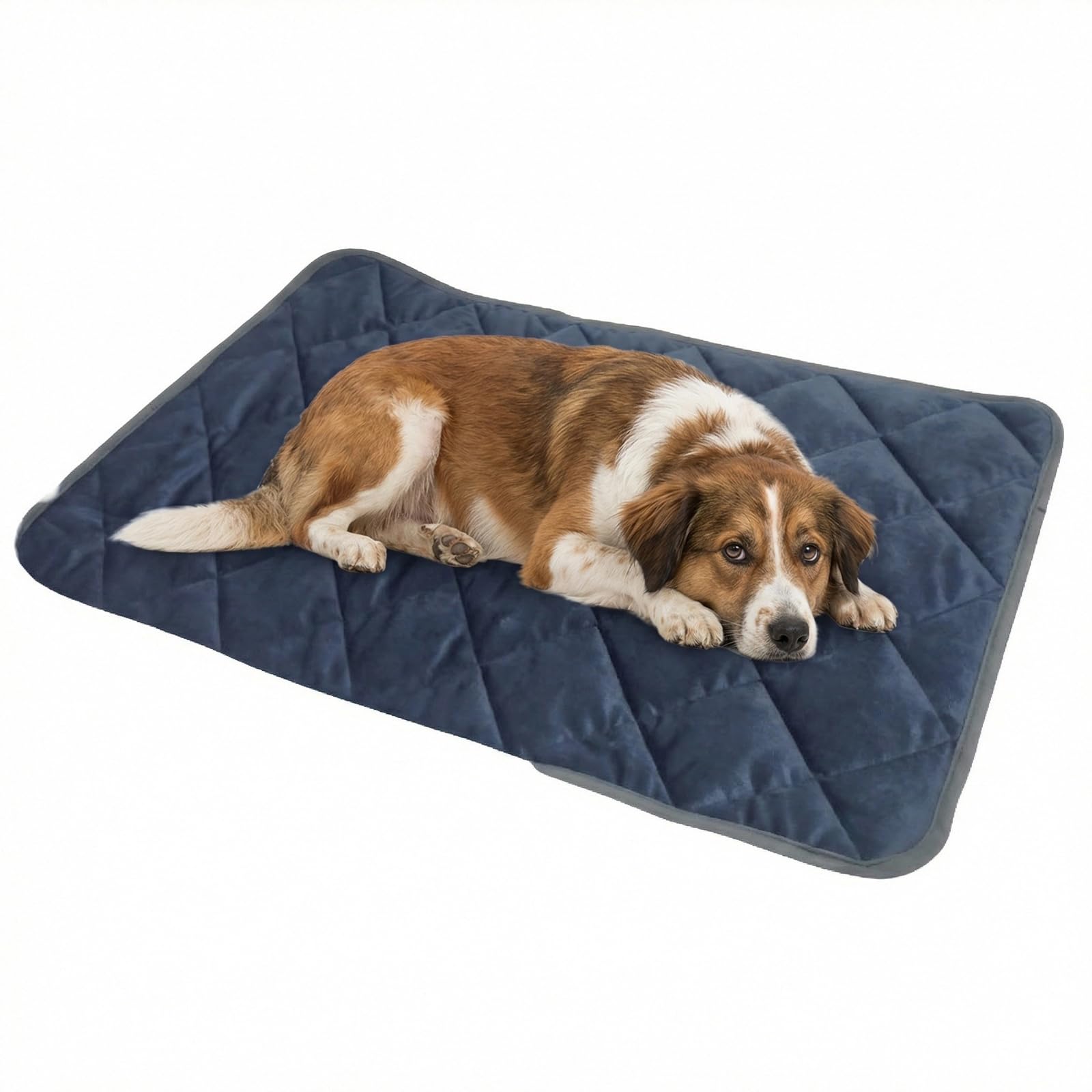 Selbstheizende Thermomatte, Maschinenwaschbar, Selbsterwärmende Katzendecke für Katzen Und Kleine Hunde, für Drinnen Und DraußEnBlue,XL