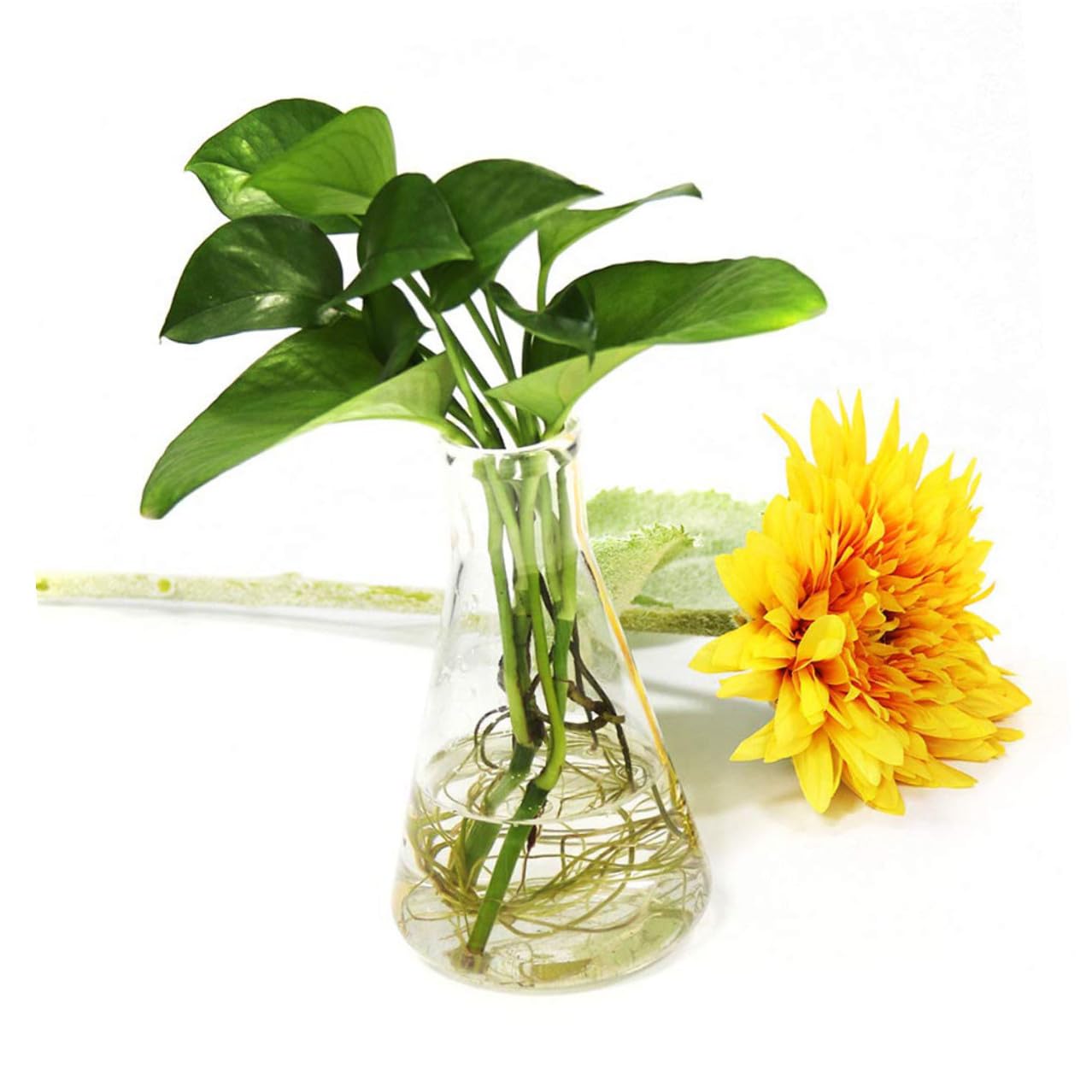 Beuta Erlenmeyer in Vetro Borosilicato a Collo Largo 5 Pezzi | Scientifica Boccetta di Vetro, 50ml 150ml 250ml 500ml 1000ml, Fondo Piatto Graduazioni Standard