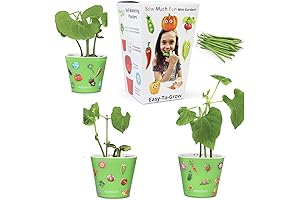 Bean Sow Much Fun Seed Starting Toddler Planting Kit