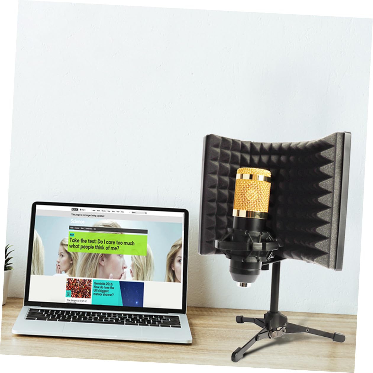 Schallabsorbierender Mikrofon Windschutz mit Rauschunterdrückung und Isolationsschild Absorptionsschaum für Filmaufnahmen und Gesangsaufnahmen