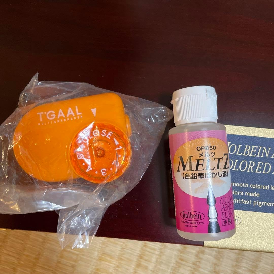 ホルベイン色鉛筆100色セット 木函入 グミ ホルベイン アーティスト