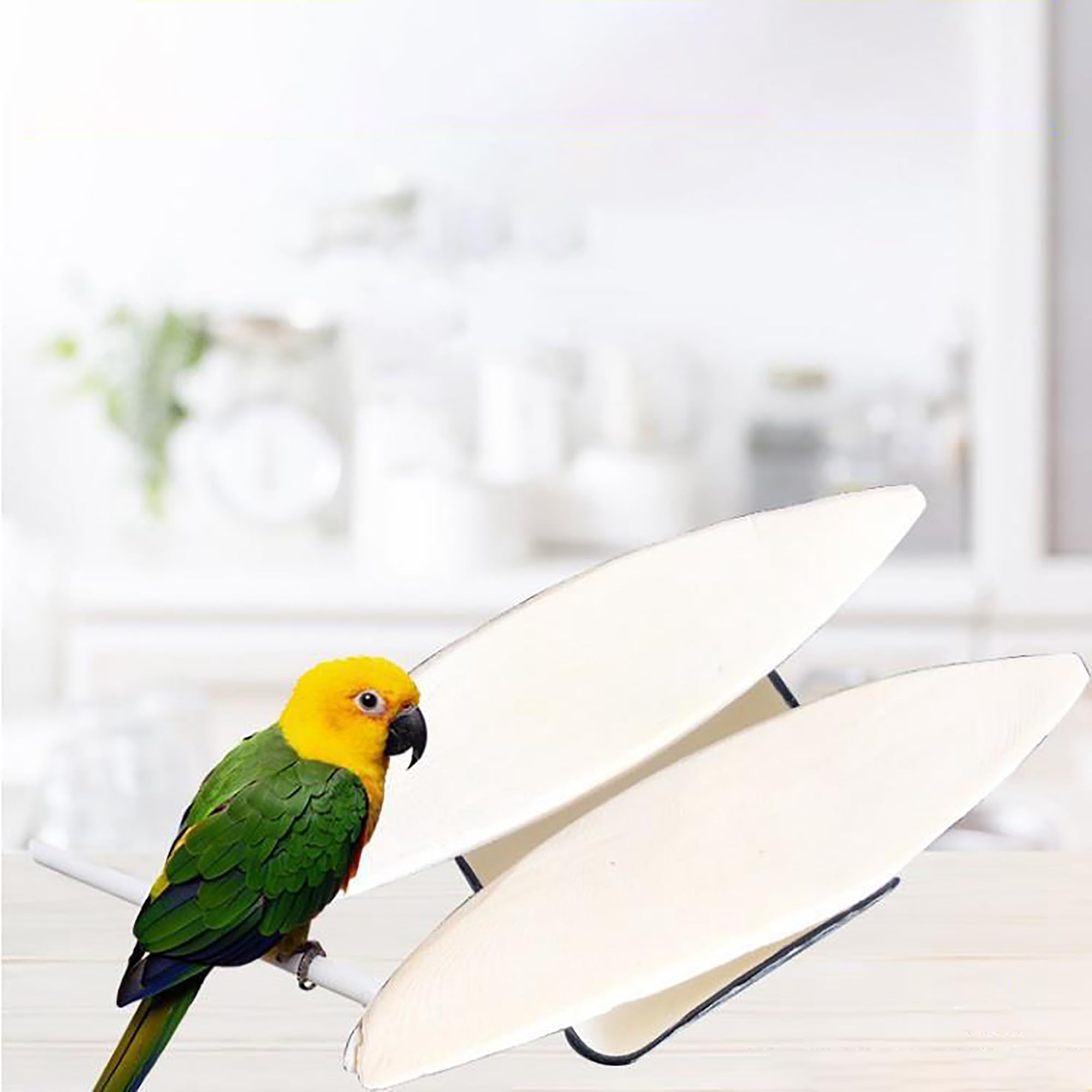 6 Ossi Di Seppia Naturali Per Uccelli E Animali Domestici - Con Supporto Metallico