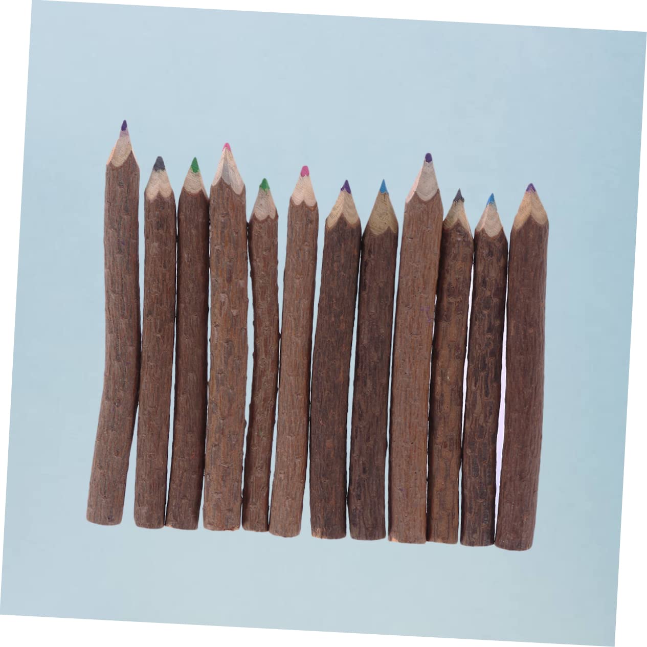 LALAFINA 24pezzi Matite Colorate Di Ramo Per Disegno Artistico Matite Di Bark Per Creatività e Attività All Aperto Per Insegnanti