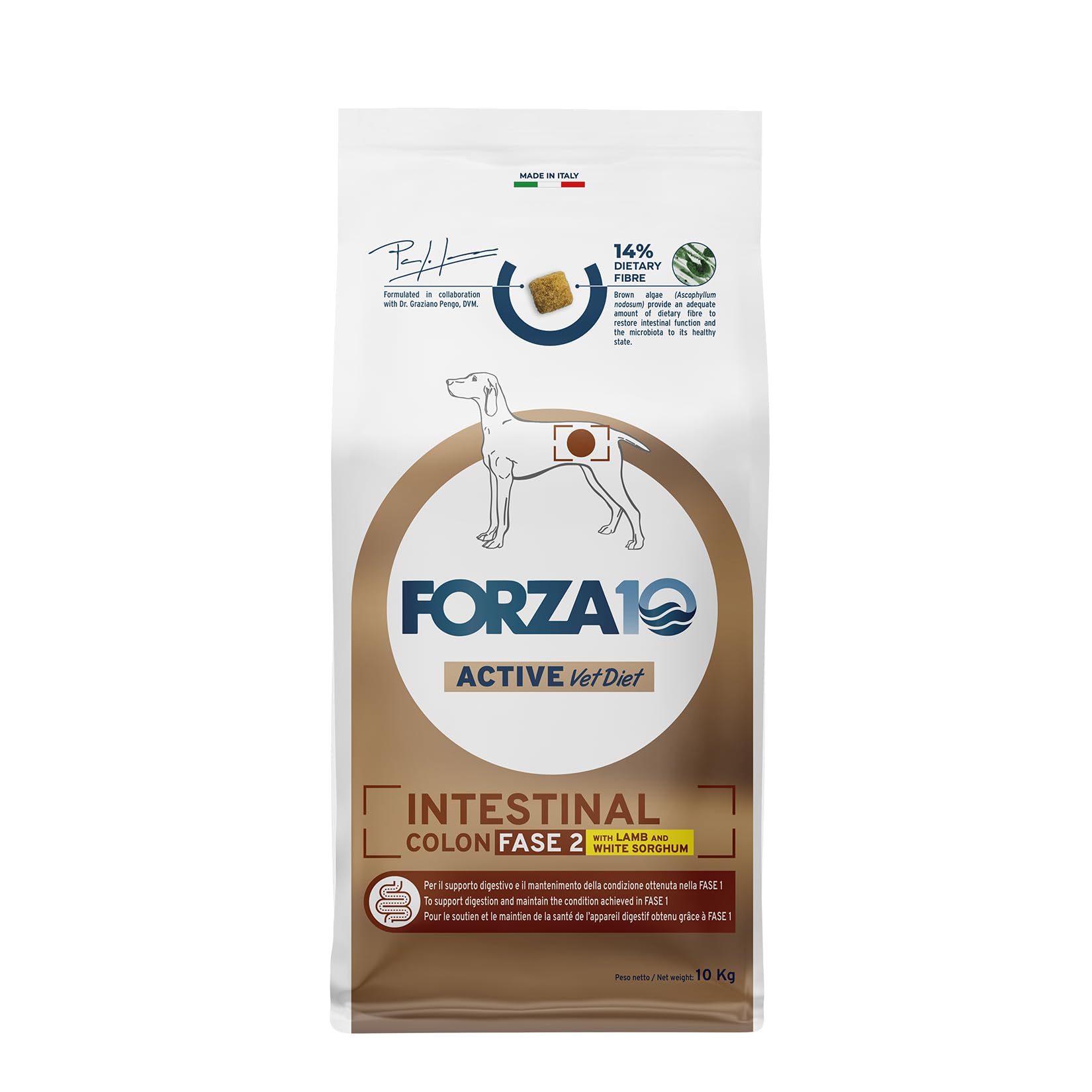 FORZA10 Dog Active Intestinal Colon FASE 2 | Agnello e Sorgo | Alimento Dietetico per Sensibilità Intestinale | Cibo Secco per Cani | Sacco da 10 Kg