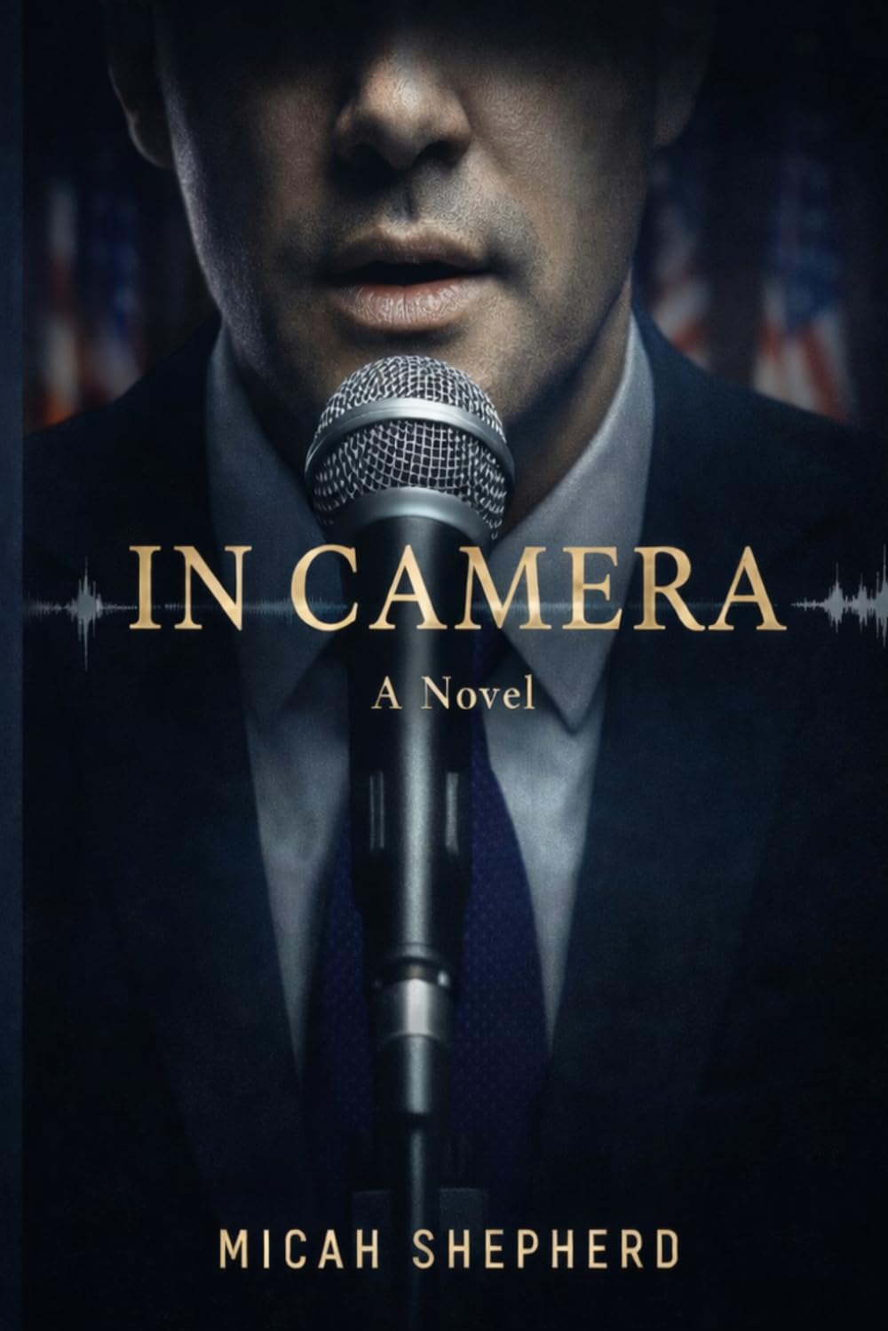 In Camera (Windy City Justice)