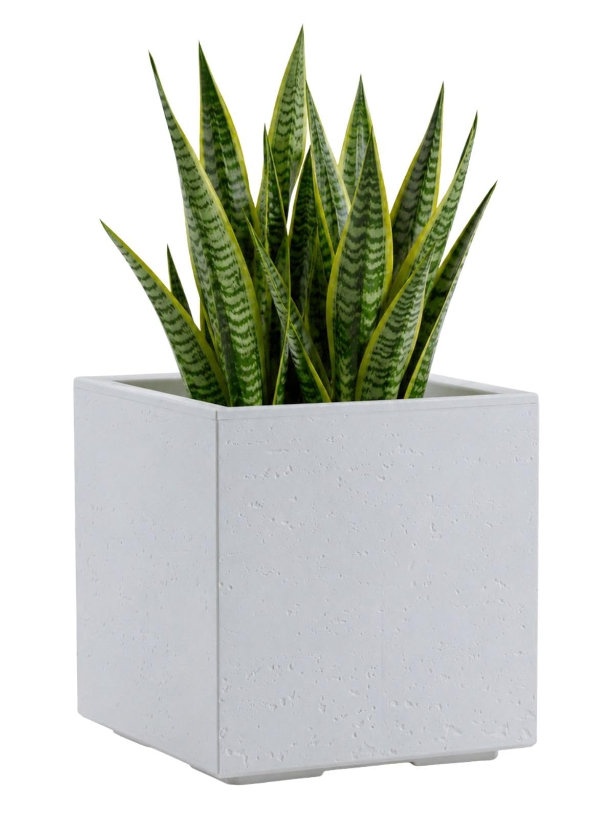 HowHomely Flower Pot Planter on Wheels Flower Pot Cream 30 x 30 x H 30 cm