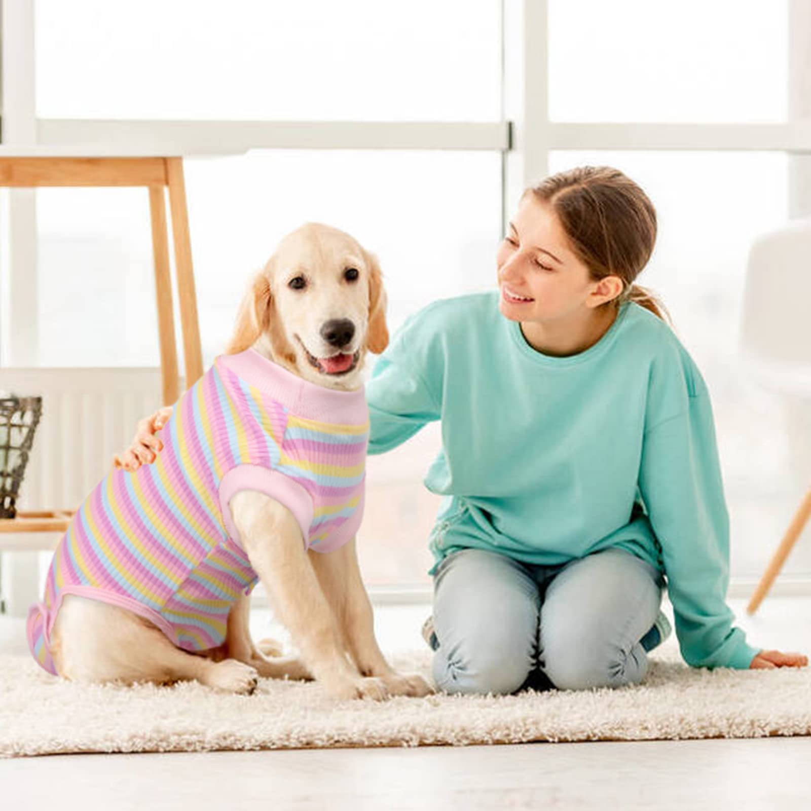 PUMYPOREITY Postoperatorio Perros/Gatos, Body Perro Postcirujia Camiseta Quirurgica Chaleco Quirúrgico después de la Cirugía Ropa Quirúrgica Médica para Perros Machos y Hembras(Rosa, L)