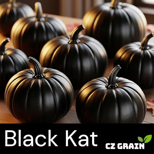 Miniatura 2 de Semillas exóticas de calabaza Black Kat para plantar (10 semillas)  Calabazas negras profundas de piel lisa  Variedad decorativa rara para jardines