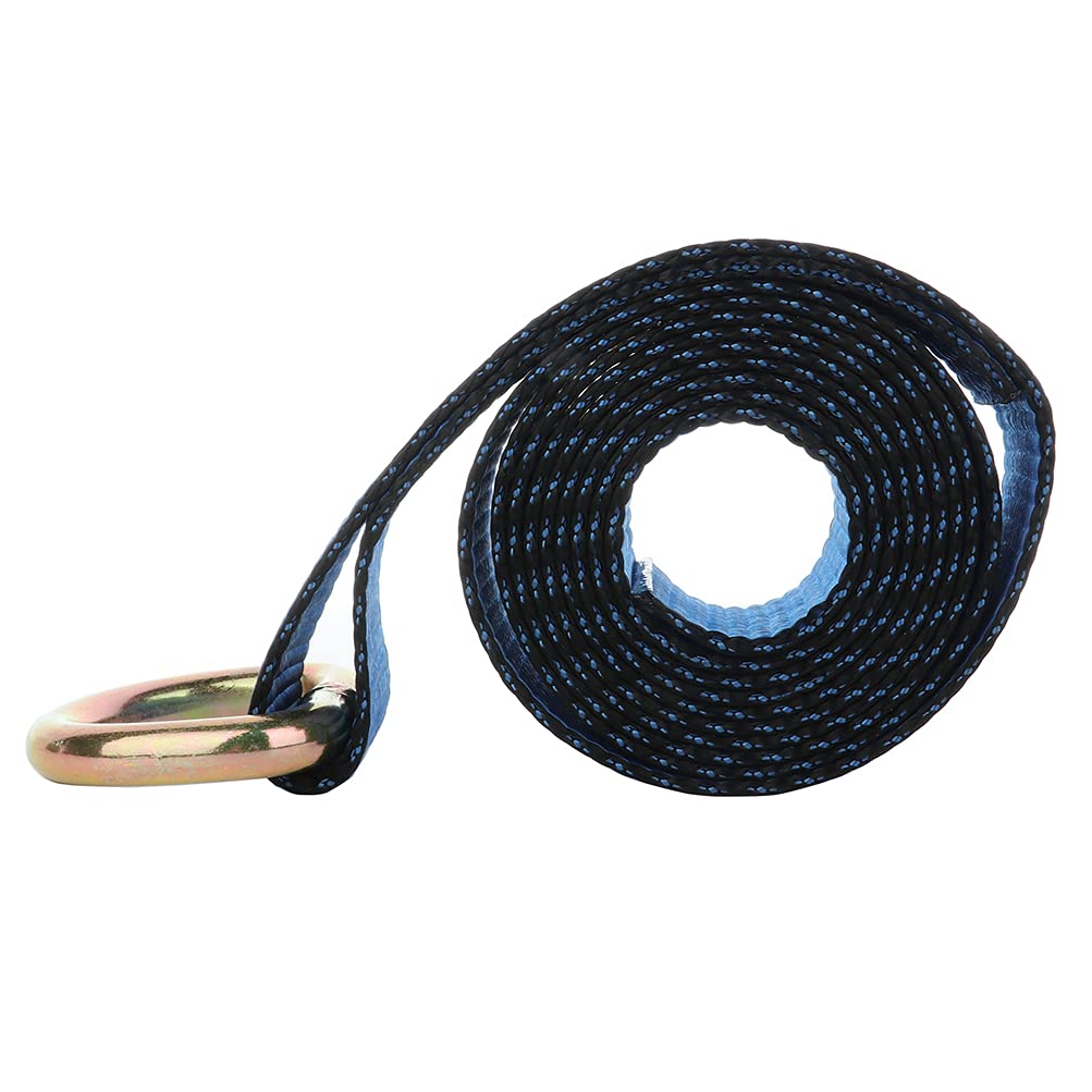 TFGCSG Lasso Straps Wrecker Car Strap Hauler Tow Dolly Tire Strap Wheel Tie Down Strap 4X 8' Blue New