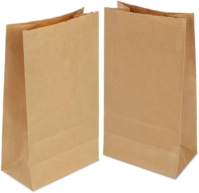 100 pcs Paper Bags 21.5×12×7CM,Brown Paper Bags,Small Paper Bags for Birthday Parties Christmas Wedding(Thicken 70 g./m2)