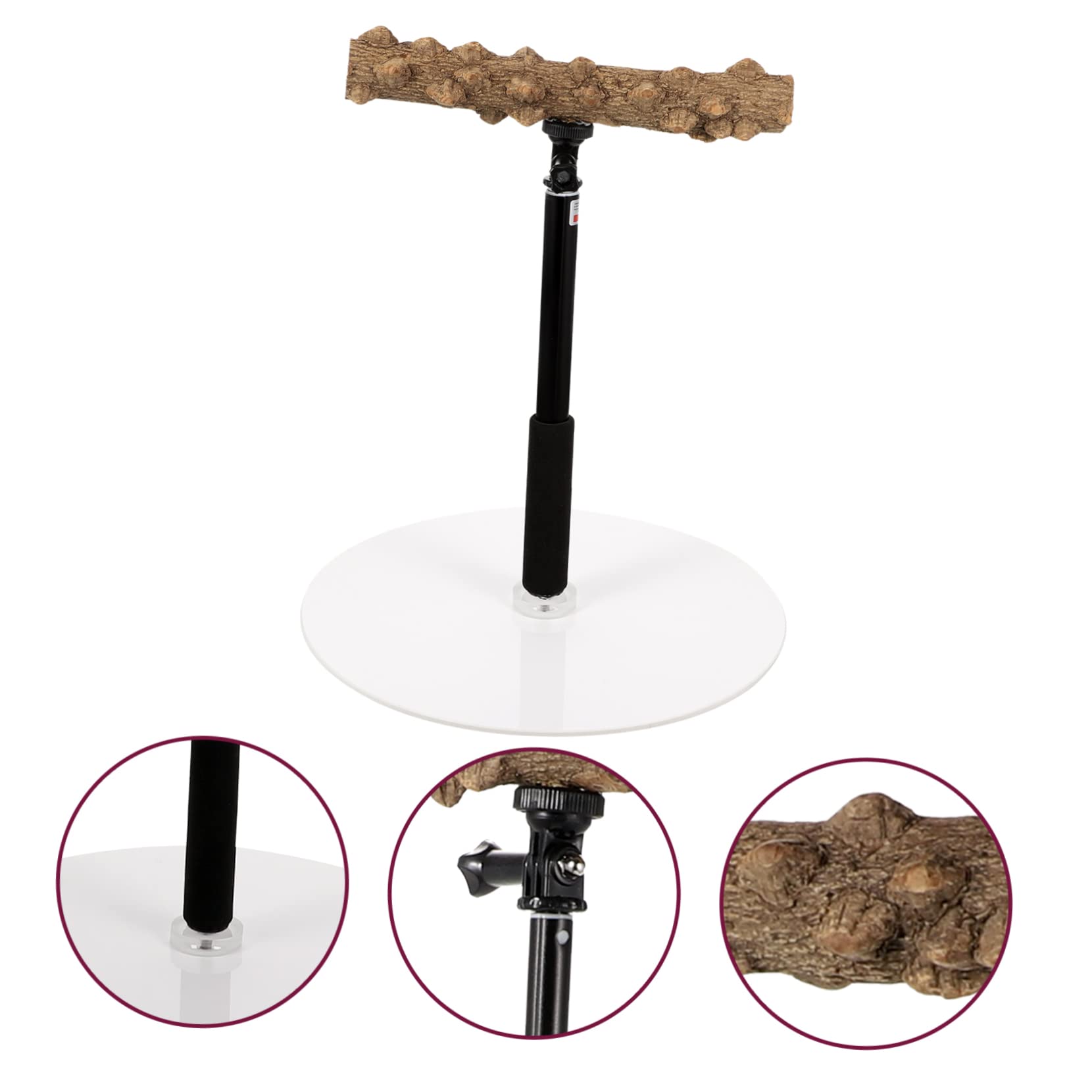 Percha Ajustable de Altura para Loros y Aves, Soporte Metálico | Base Estable, Superficies Rugosas, para Entrenamiento y Observación de Aves Cantando